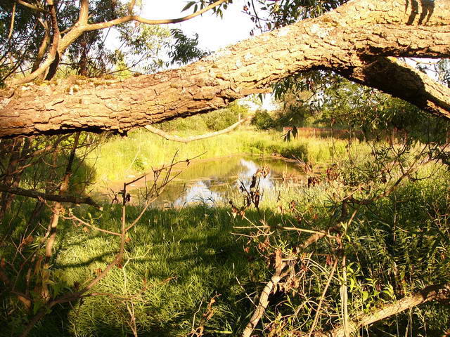 В поисках поселка Гомолосары